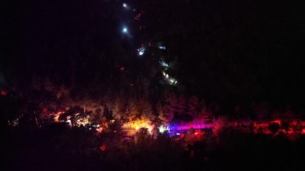 Antalya'nın Gazipaşa ilçesinde ormanlık alanda çıkan yangın kontrol altına alındı - Sputnik Türkiye