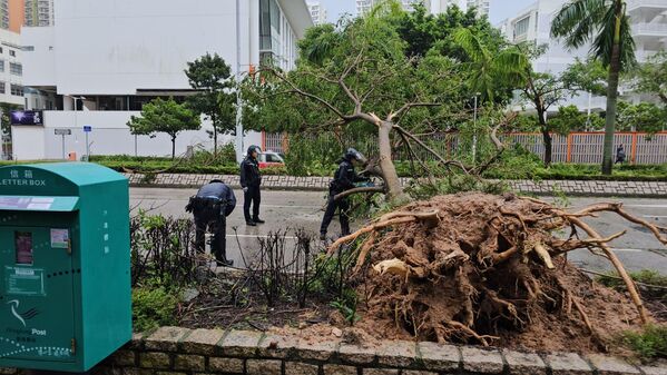 Uzmanlar, Ragasa’nın güzergahındaki ülkelerde önümüzdeki günlerde de aşırı yağış ve fırtına riski bulunduğunu vurguluyadı ve bölgedekileri uyardı. - Sputnik Türkiye