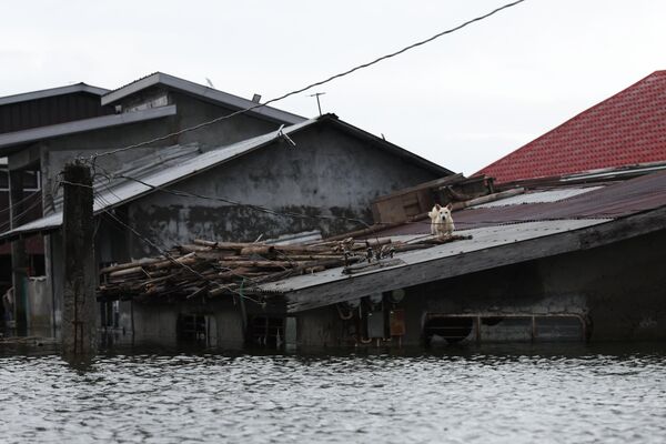 Yerel yetkililerin yürüttüğü soruşturma, yolsuzluk nedeniyle en az 50 altyapı projesinin “hayali proje” olarak kaldığını ortaya koydu - Sputnik Türkiye