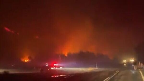 Bursa yangın - Sputnik Türkiye