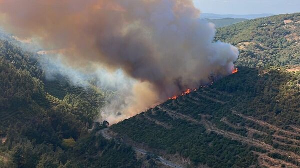 Balıkesir'de araç kazası sonrası çıkan yangın ormana sıçradı - Sputnik Türkiye