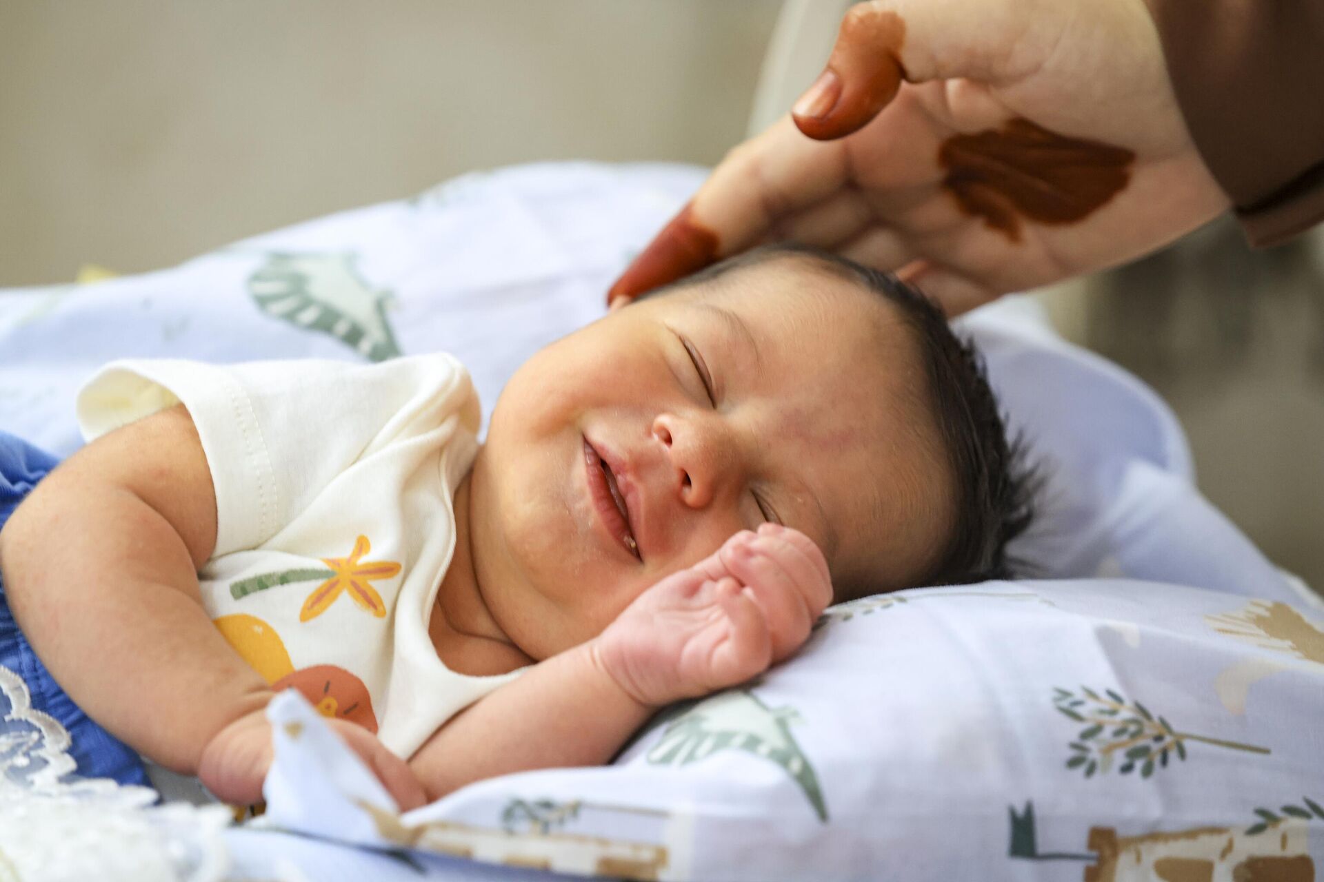 Altın kan  - Sputnik Türkiye, 1920, 29.09.2025