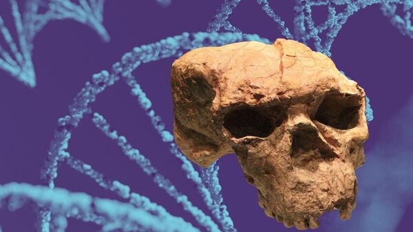 Çin'in Hubei kentinde bulunan kafatası - Sputnik Türkiye