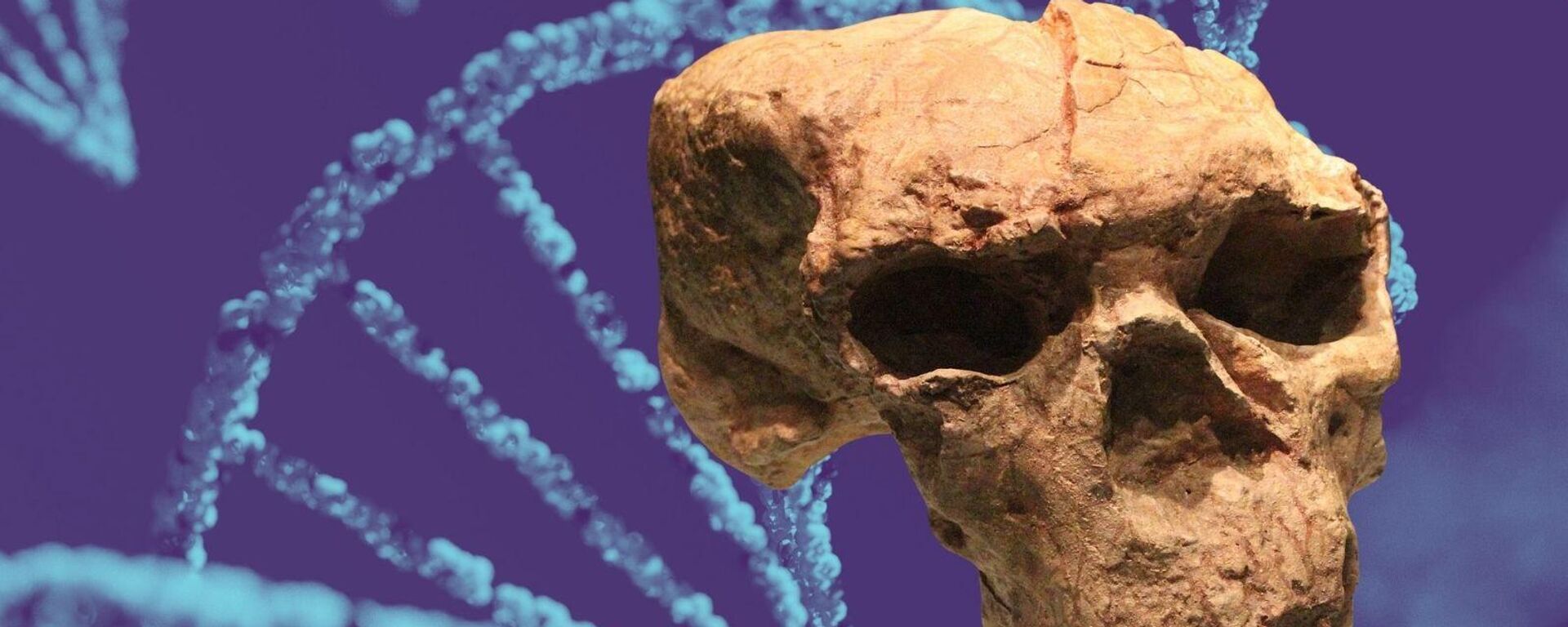 Çin'in Hubei kentinde bulunan kafatası - Sputnik Türkiye, 1920, 29.09.2025