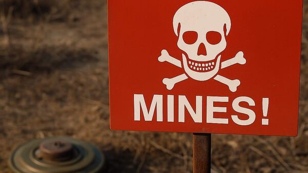 Mayın - Sputnik Türkiye