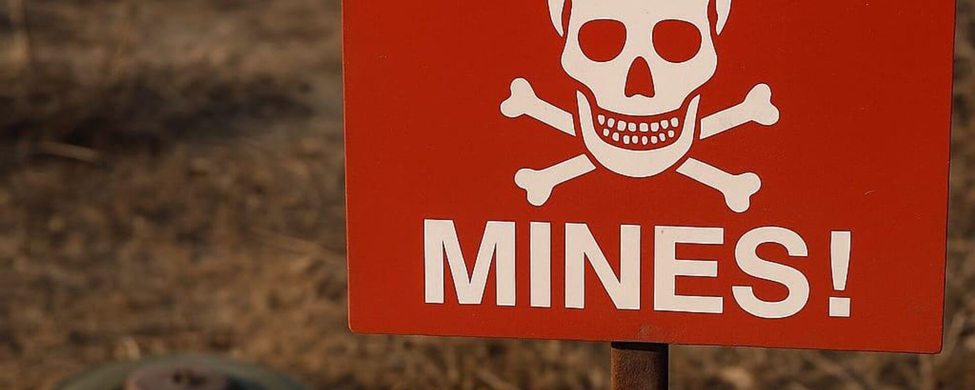 Mayın - Sputnik Türkiye, 1920, 10.11.2025