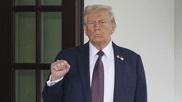 Trump, ithal keresteye yüzde 10 ve ahşap ürünlere yüzde 25 gümrük vergisi getirdi - Sputnik Türkiye