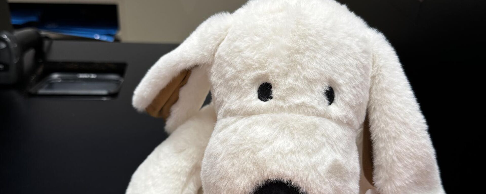 Ticaret Bakanlığı - Sputnik Türkiye, 1920, 30.09.2025