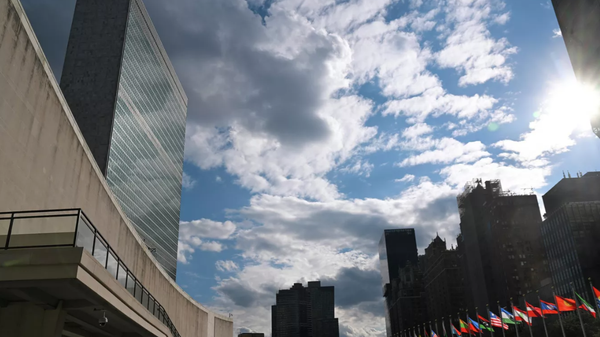 Birleşmiş Milletler, New York - Sputnik Türkiye