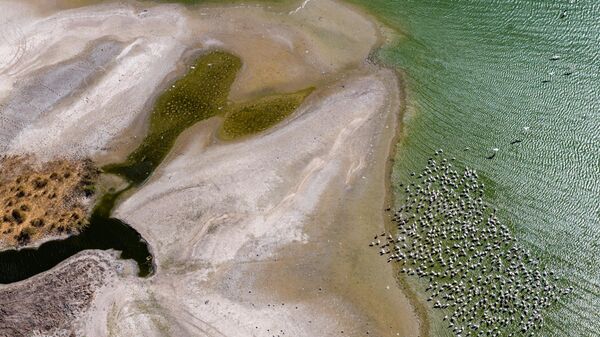 Manyas Gölü’nde kuraklık her geçen gün etkisini artırıyor - Sputnik Türkiye