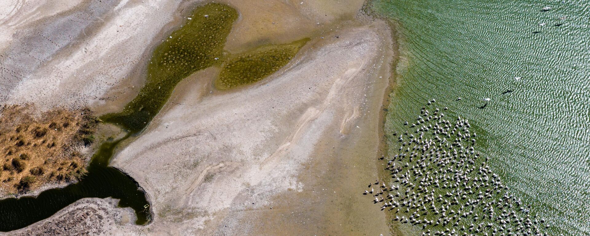 Manyas Gölü’nde kuraklık her geçen gün etkisini artırıyor - Sputnik Türkiye, 1920, 01.10.2025