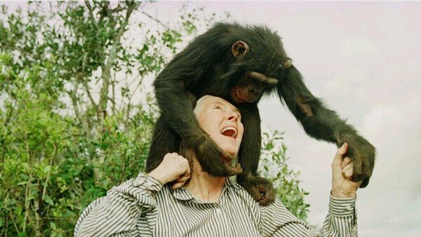 Jane Goodall hayatını kaybetti - Sputnik Türkiye