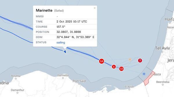 Küresel Sumud Filosu takip sistemi, 44 tekneden oluşan filodaki neredeyse tüm gemilerin durumunu İsrail donanması tarafından durduruldu veya durdurulduğu varsayıldı olarak değiştirdi. - Sputnik Türkiye