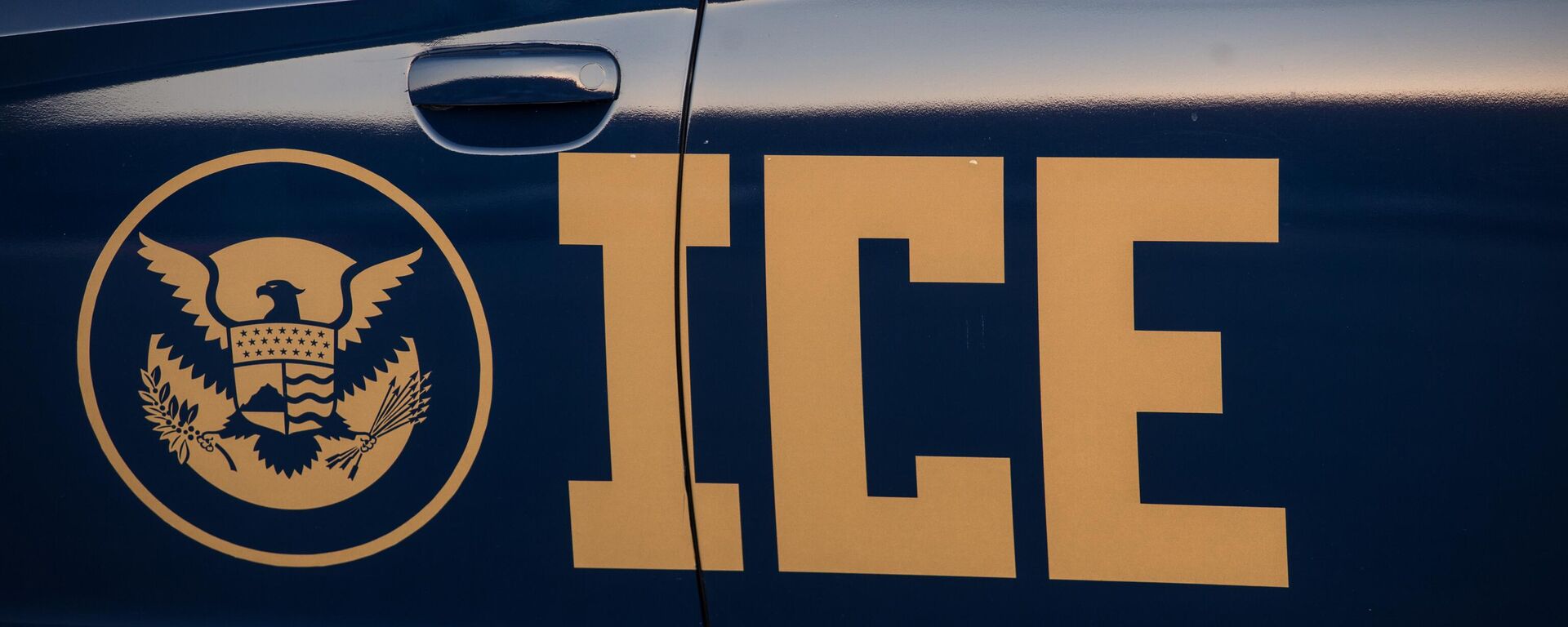 ABD Göçmenlik ve Gümrük Muhafaza (ICE) - Sputnik Türkiye, 1920, 03.10.2025