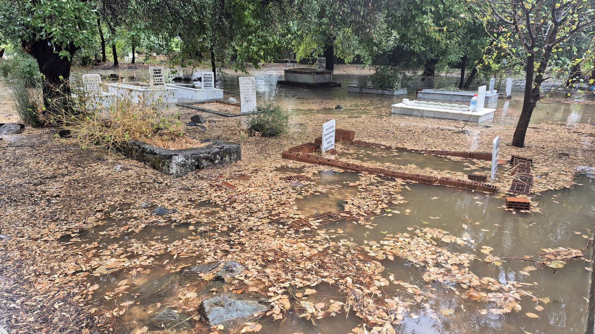 Muğla  - Sputnik Türkiye, 1920, 03.10.2025