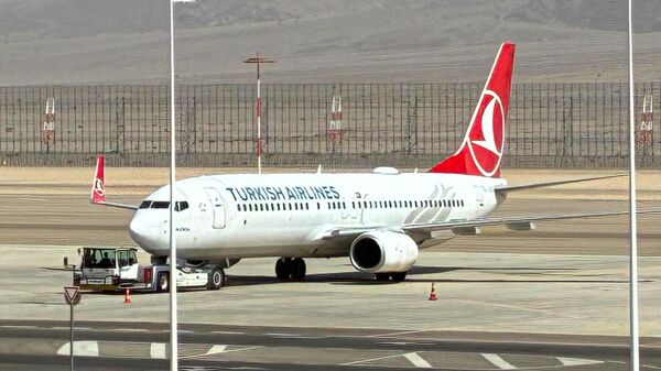 Küresel Sumud Filosu yolcularının Türkiye'ye getirildiği uçak - Sputnik Türkiye