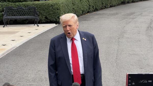 Donald Trump - Sputnik Türkiye