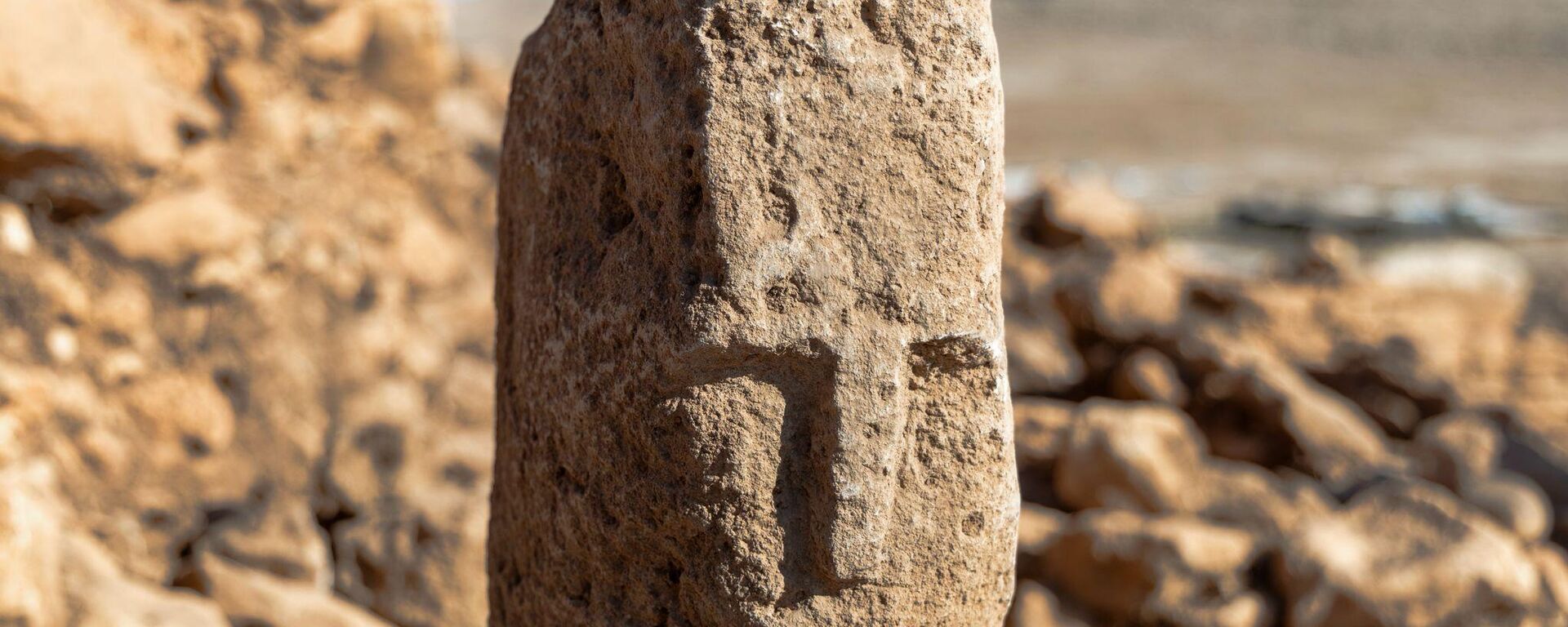  Karahantepe'de insan yüzlü T biçimli dikilitaş bulundu - Sputnik Türkiye, 1920, 06.10.2025