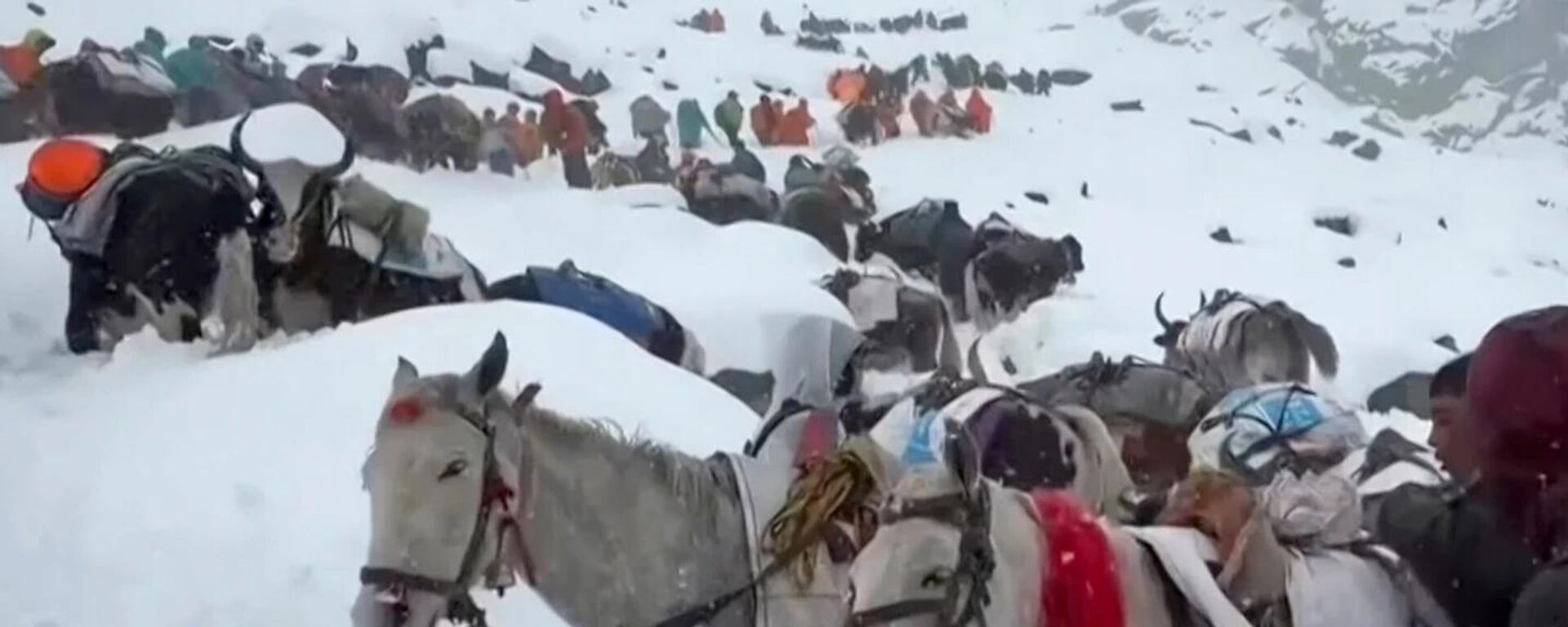 Everest'te mahsur kalan dağcıları kurtarmaki çin kurtarma ekipleri yola çıktı.  - Sputnik Türkiye, 1920, 08.10.2025