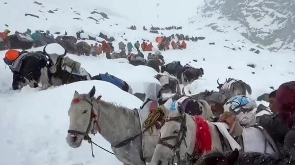 Everest'te mahsur kalan dağcıları kurtarmaki çin kurtarma ekipleri yola çıktı.  - Sputnik Türkiye
