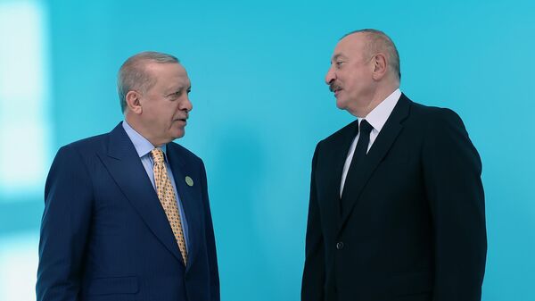 Türk Devletleri Teşkilatı 12. Zirvesi başladı - Sputnik Türkiye