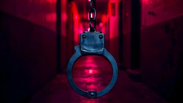 Kelepçe - Sputnik Türkiye