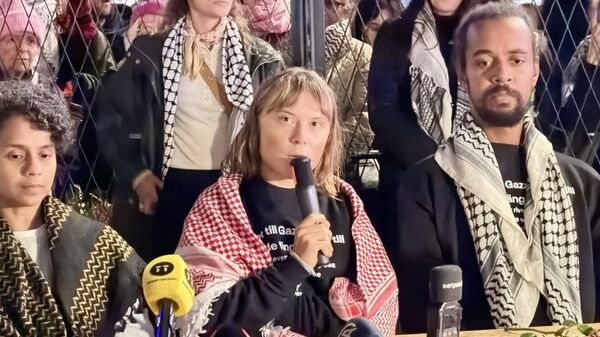 İsveçli çevre aktivisti Greta Thunberg  - Sputnik Türkiye