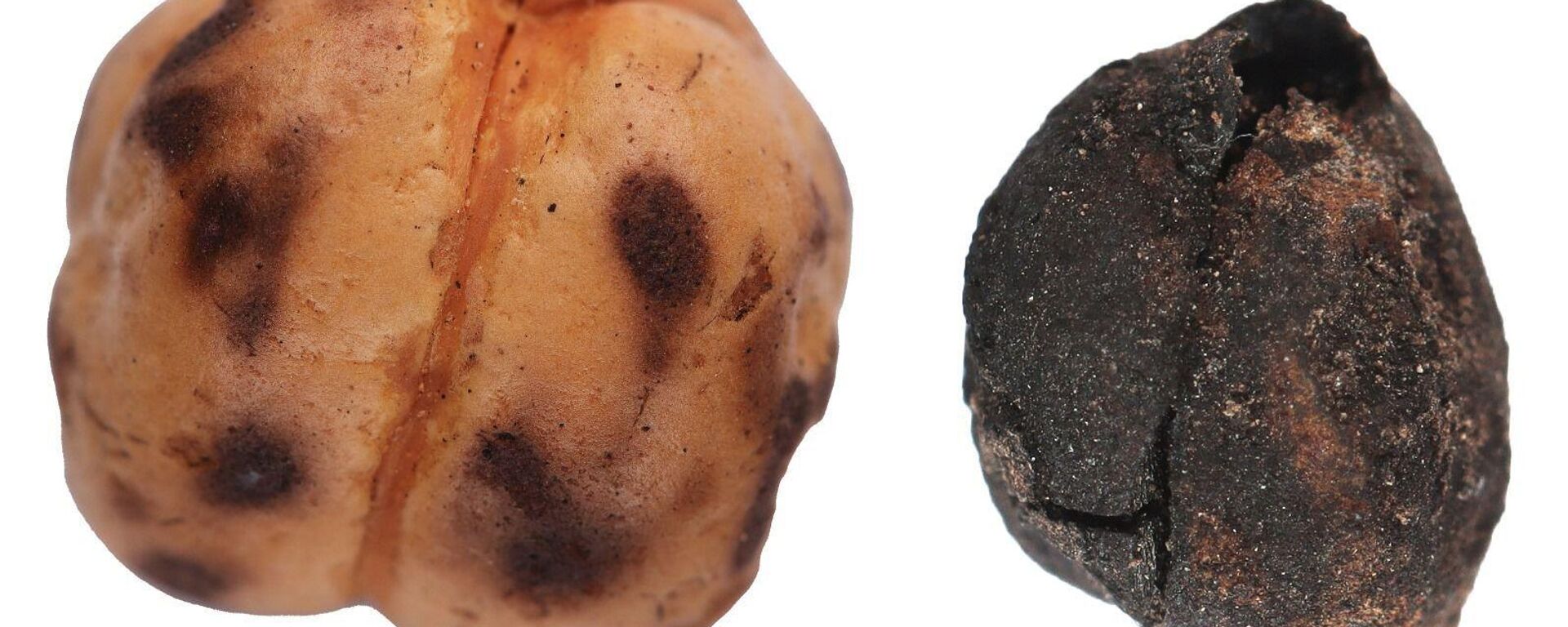 Kültür ve Turizm Bakanlığı Kültür ve Turizm Bakanlığı - Sputnik Türkiye, 1920, 08.10.2025