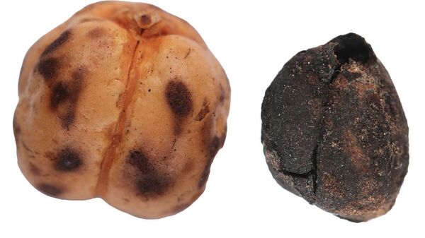 Kültür ve Turizm Bakanlığı - Sputnik Türkiye