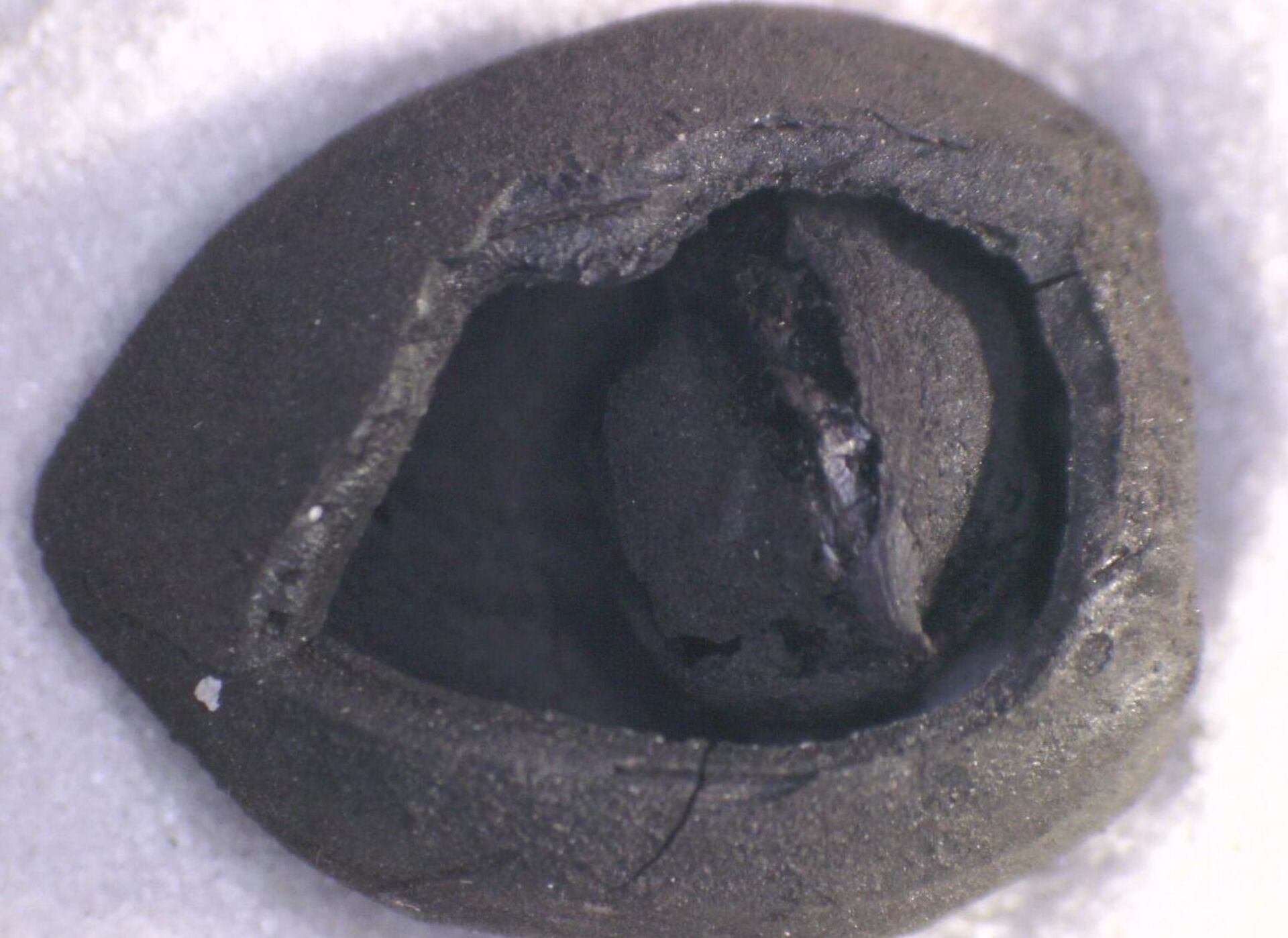 Kültür ve Turizm Bakanlığı - Sputnik Türkiye, 1920, 08.10.2025