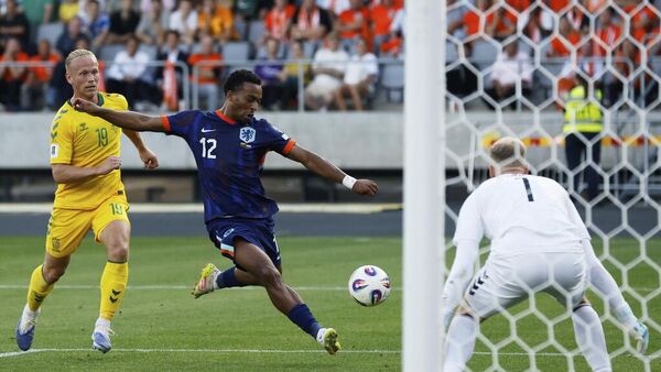  Quinten Timber - Sputnik Türkiye