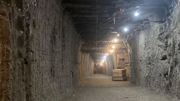 Alaska'da mikroorganizmaları çıkaran bilim insanları - Sputnik Türkiye