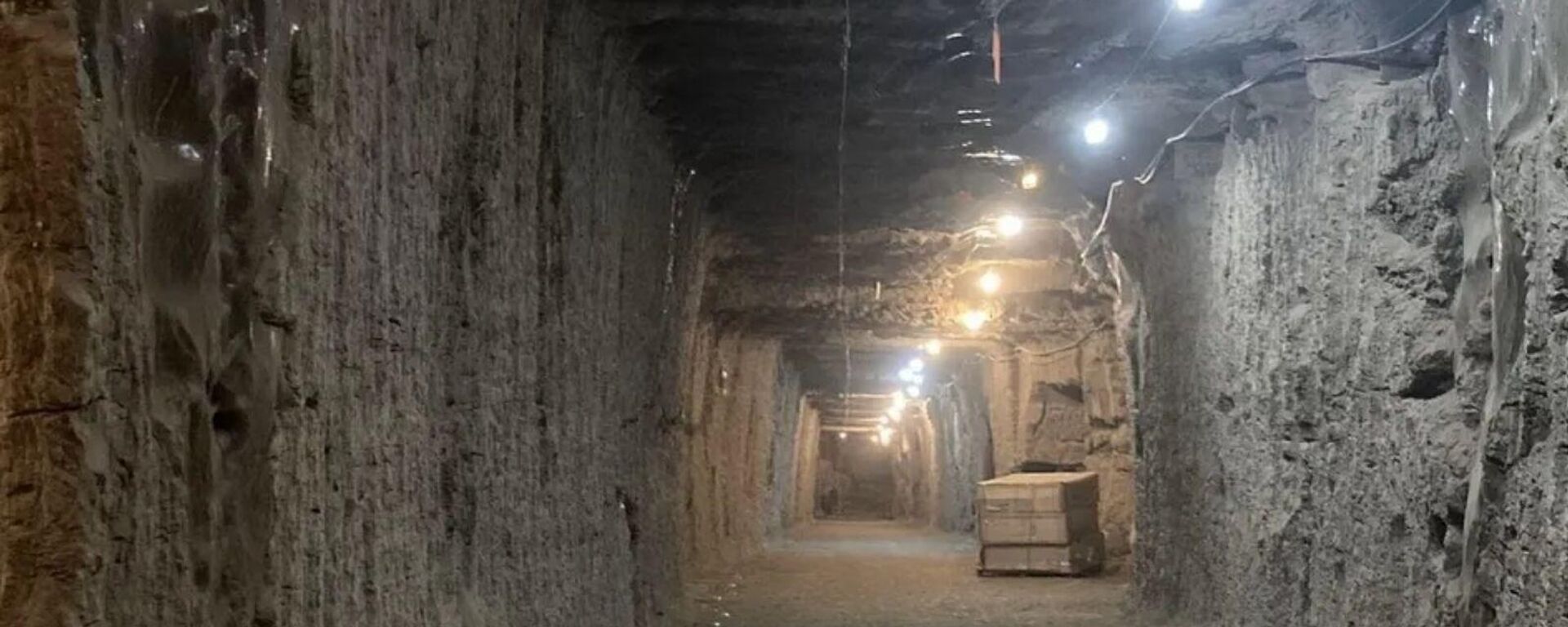 Alaska'da mikroorganizmaları çıkaran bilim insanları - Sputnik Türkiye, 1920, 14.10.2025