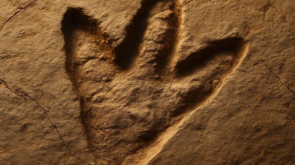 Dinozor aya izi - Sputnik Türkiye