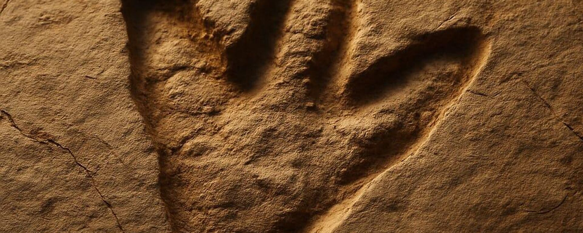 Dinozor aya izi - Sputnik Türkiye, 1920, 15.10.2025