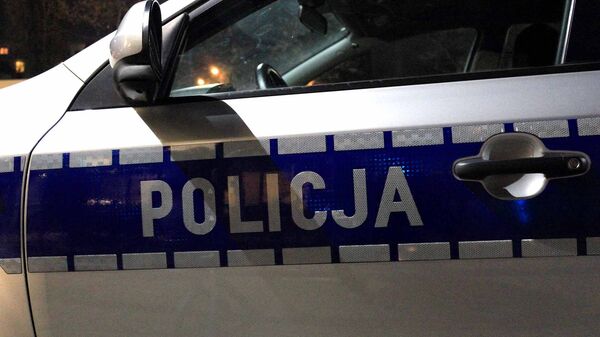 Police car in Poland - Sputnik Türkiye