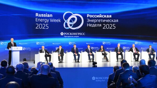 Rusya Devlet Başkanı Vladimir Putin - Sputnik Türkiye