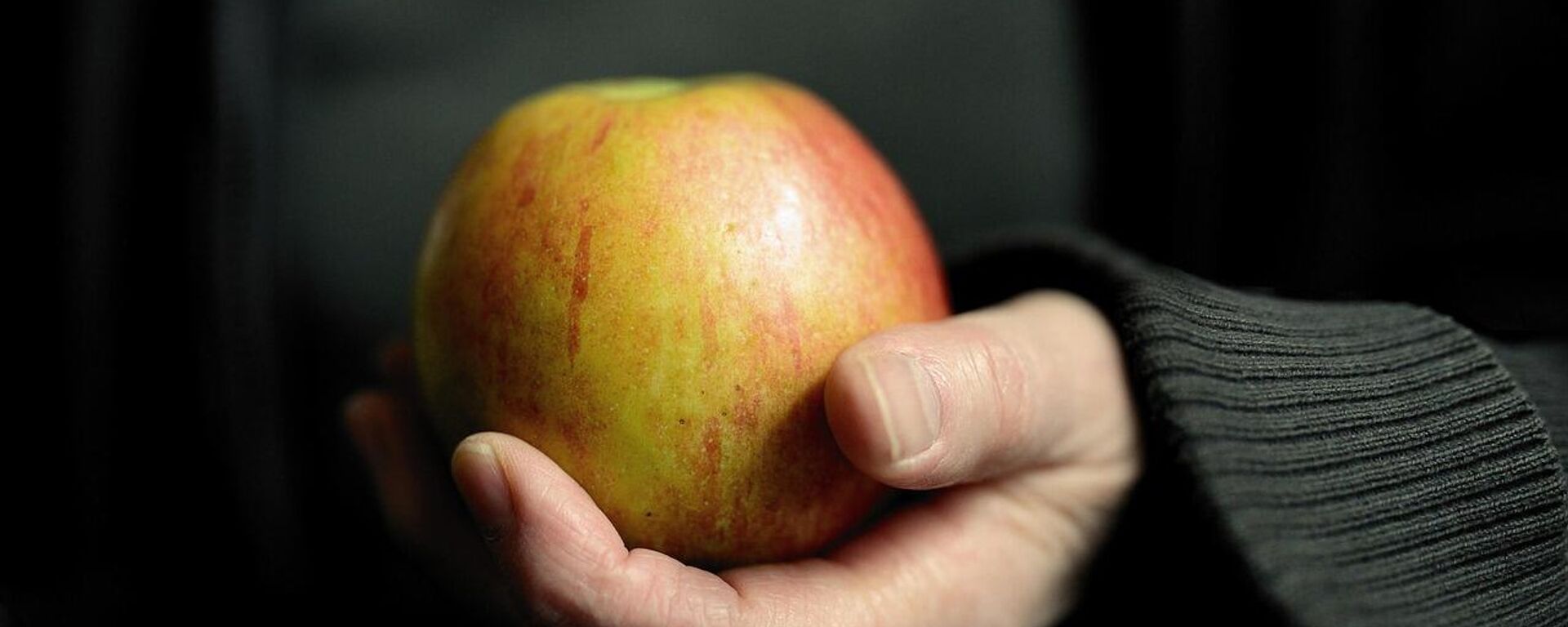 beslenme - Sputnik Türkiye, 1920, 16.02.2026