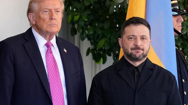 ABD Başkanı Donald Trump-Vladimir Zelenskiy - Sputnik Türkiye