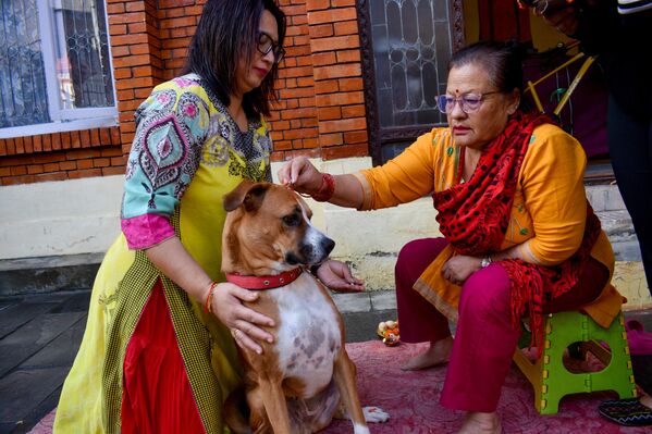 Festival her yıl Ekim veya Kasım ayında kutlanır.2025 yılında Kukur Tihar’ın 20 Ekim’de yapılıyor. Bu gelenek, insanların köpeklere duyduğu sevgi ve sadakatin sembolüdür. - Sputnik Türkiye