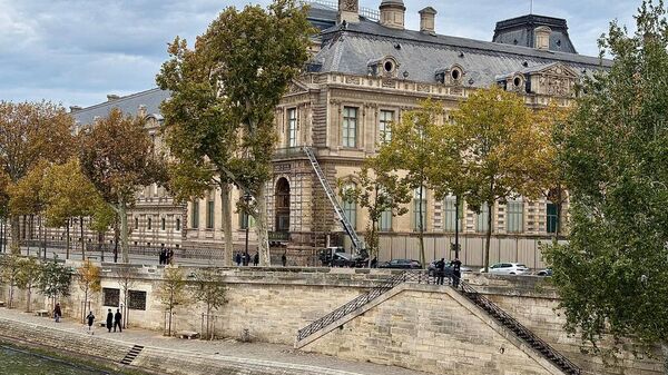 Louvre Müzesi Soygunu - Sputnik Türkiye