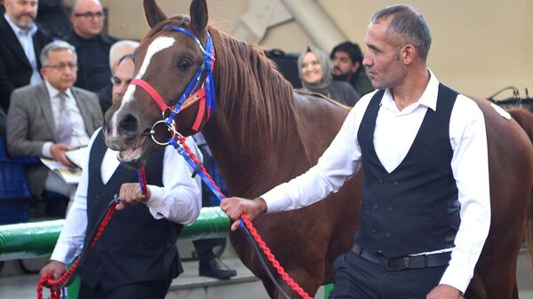 TİGEM - Sputnik Türkiye