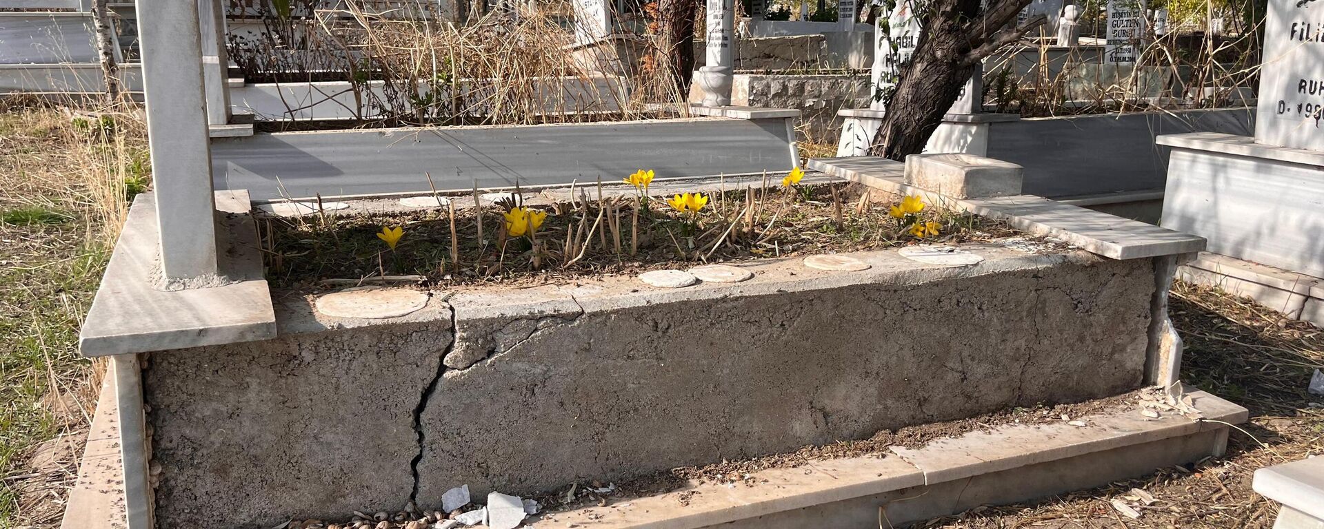 Tekirdağ'ın Hayrabolu ilçesinde kabir mermerlerini çalarak evinin bahçesinde kullandığı öne sürülen şüpheli gözaltına alındı.  - Sputnik Türkiye, 1920, 22.10.2025