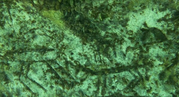 8 yıl önce kuraklık nedeniyle baraj sularının çekilmesiyle ortaya çıkan bu tarihi alan, bu yıl tekrar incelendi. - Sputnik Türkiye