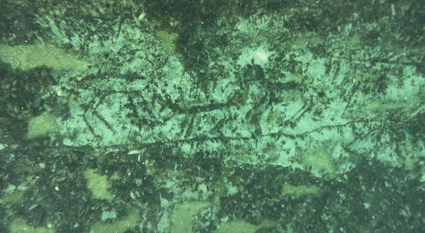 Alkan, su altında yapılan incelemelerde resimlerin üzerinde midye kabuklarının bulunduğunu ve bu durumun görüntü almayı zorlaştırdığını aktardı. Alkan, “Ancak yapılacak detaylı çalışmalarla midyeler temizlenip, net görüntüler alınacak ve buranın bir kopyası müzede sergilenecek” dedi. - Sputnik Türkiye