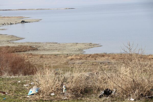 Projeyle göl çevresinde uzun süredir gözlenen toz taşınımı ve partikül kaynaklı hava kirliliği azaltılırken, çorak ve kuruyan sahalar yeşil peyzaj karakterine kavuşacak. Ayrıca tuzluluğa ve kuraklığa dayanıklı bitki türleri seçilerek toprağın su tutma kapasitesi ve biyolojik çeşitliliği artırılacak, erozyon riski düşürülecek. - Sputnik Türkiye