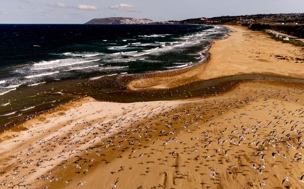 Karadeniz’in ortasında bir yarımada gibi denize uzanan Sinop, hem konumuyla hem de özgün yaşamıyla Türkiye’nin en özel şehirlerinden biri. - Sputnik Türkiye