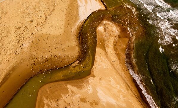 Karadeniz’in sularında yansıyan martı siluetleri, Sinop’un huzurlu atmosferini yansıtıyor. - Sputnik Türkiye