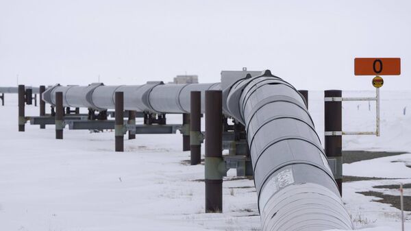Alaska petrol - Sputnik Türkiye