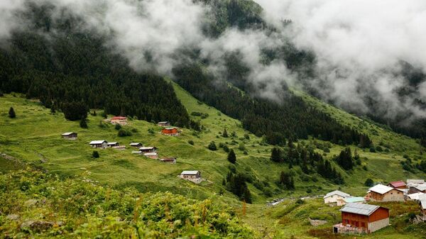 karadeniz yayla - Sputnik Türkiye